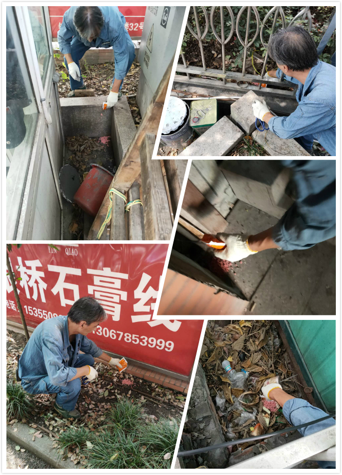 ������ʱ�г���չ��������