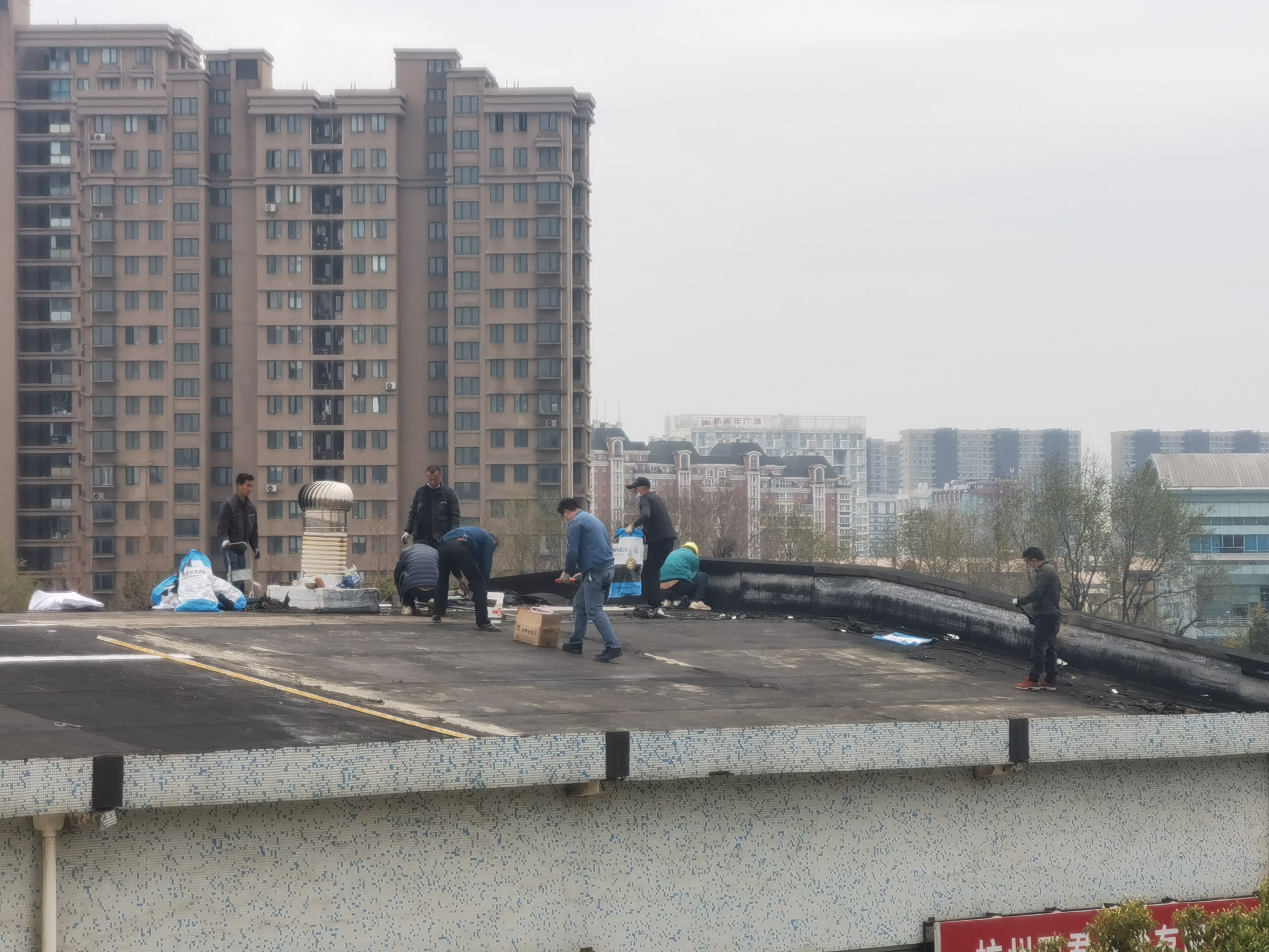 ������ʱ�г��ݶ���ˮά�޾�����