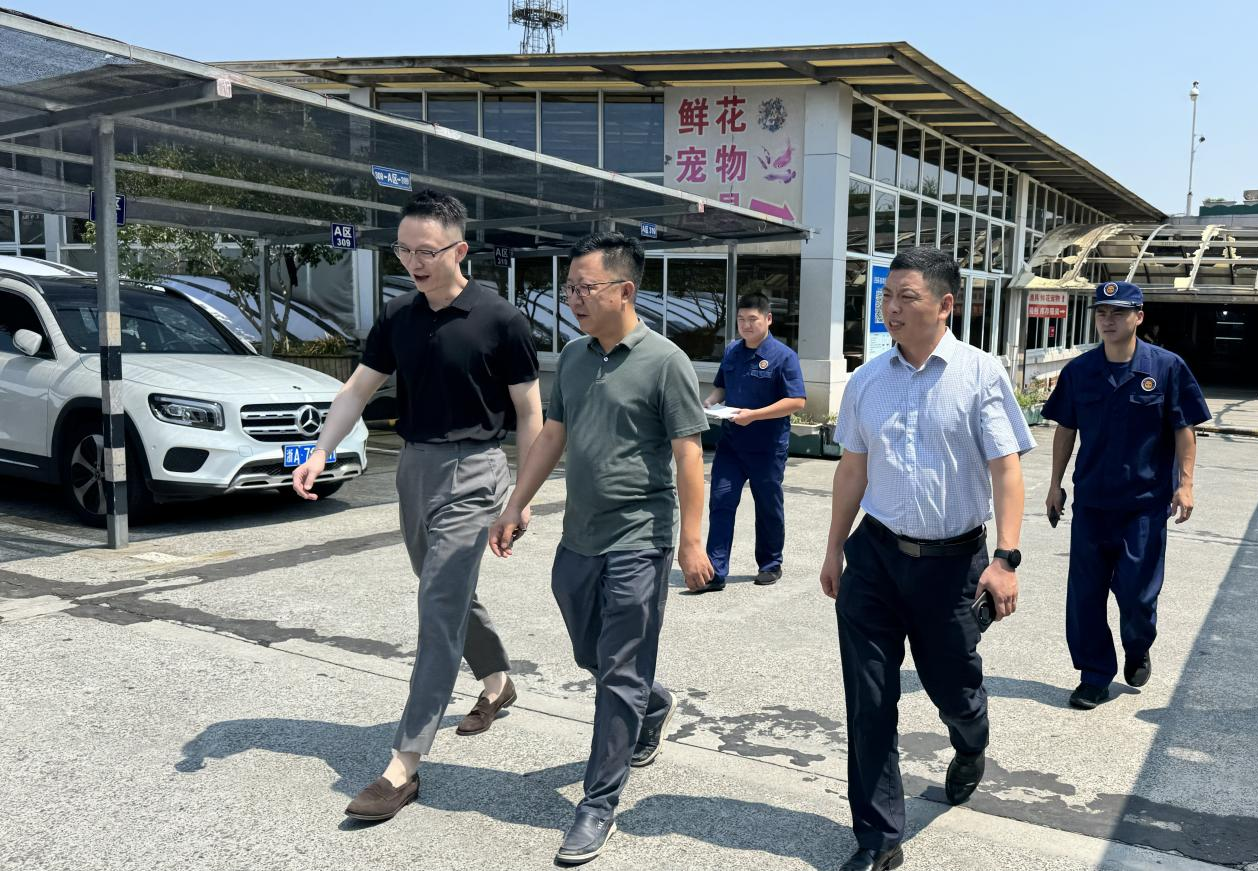 ��ǿ�����Ų����������徲����