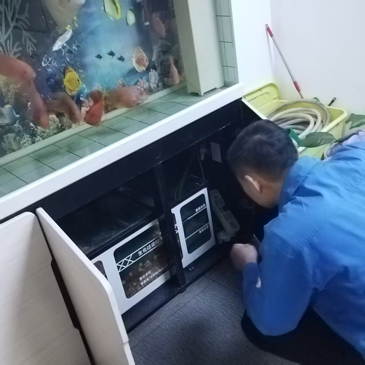 �Ѻá���ǰ�ء��������������Ρ�ƽ���ߡ�����������ʱ�Ĵ����ſ�չ����ǰר���徲����˶�