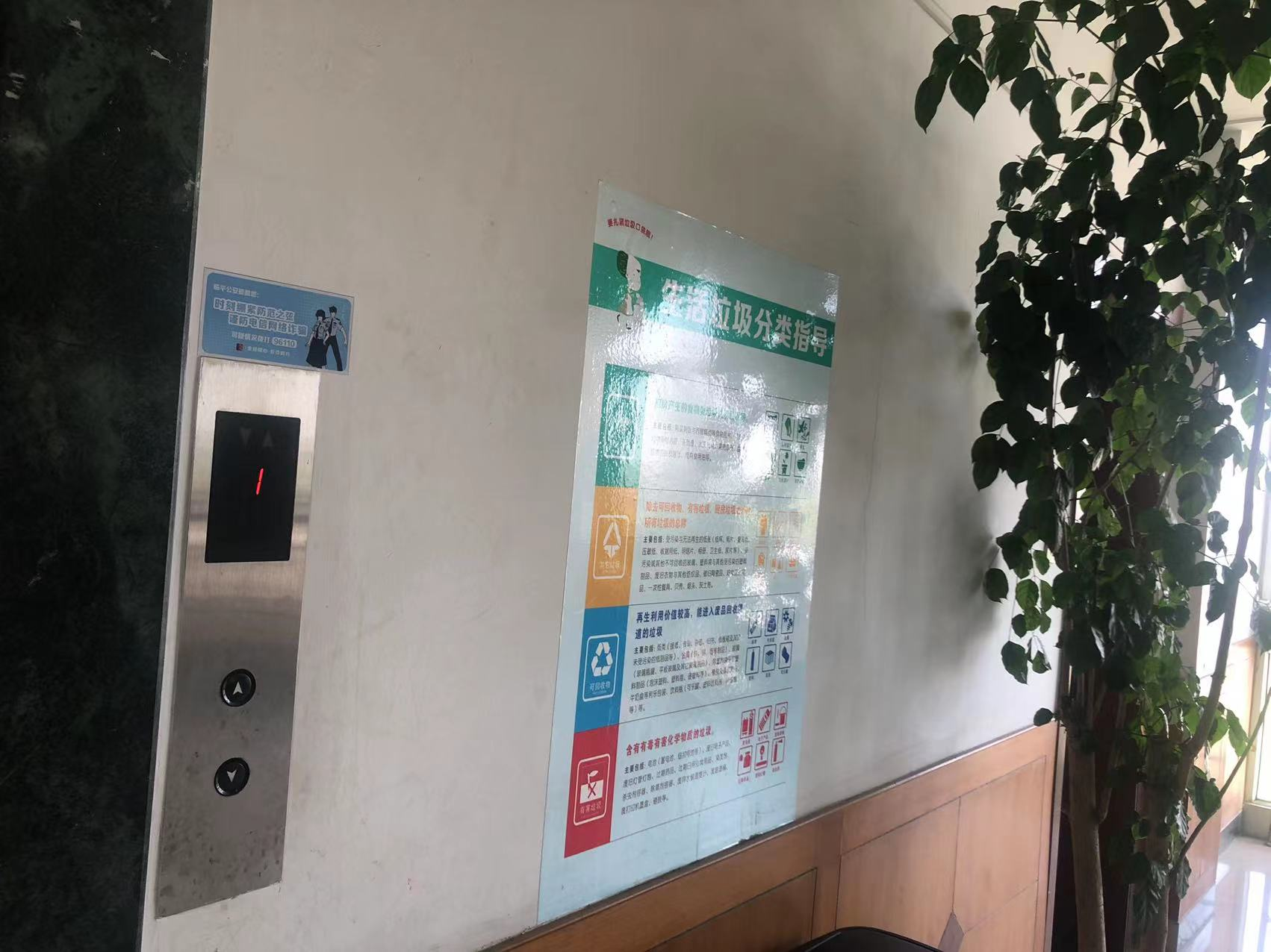 ���С�������������թƭ