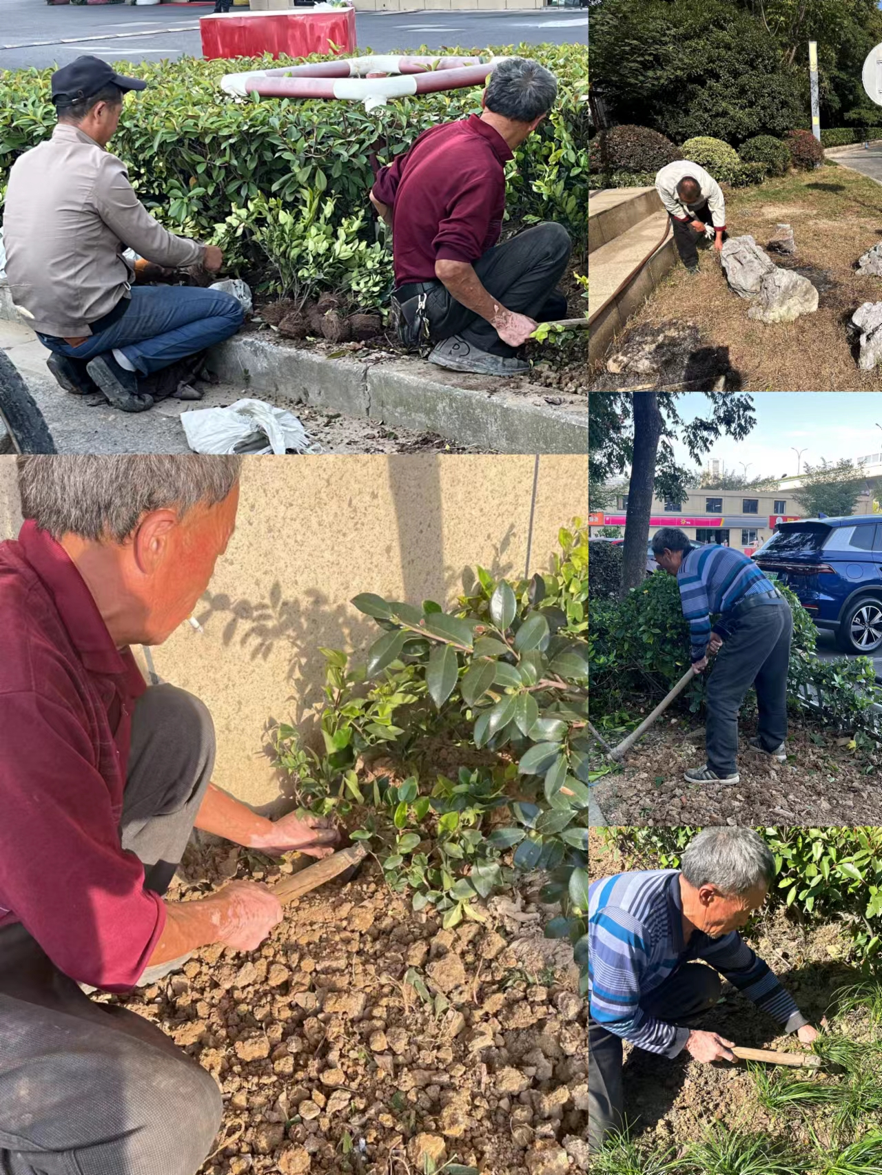 ԰������˫��������������Ȼ�·���ˮ׼