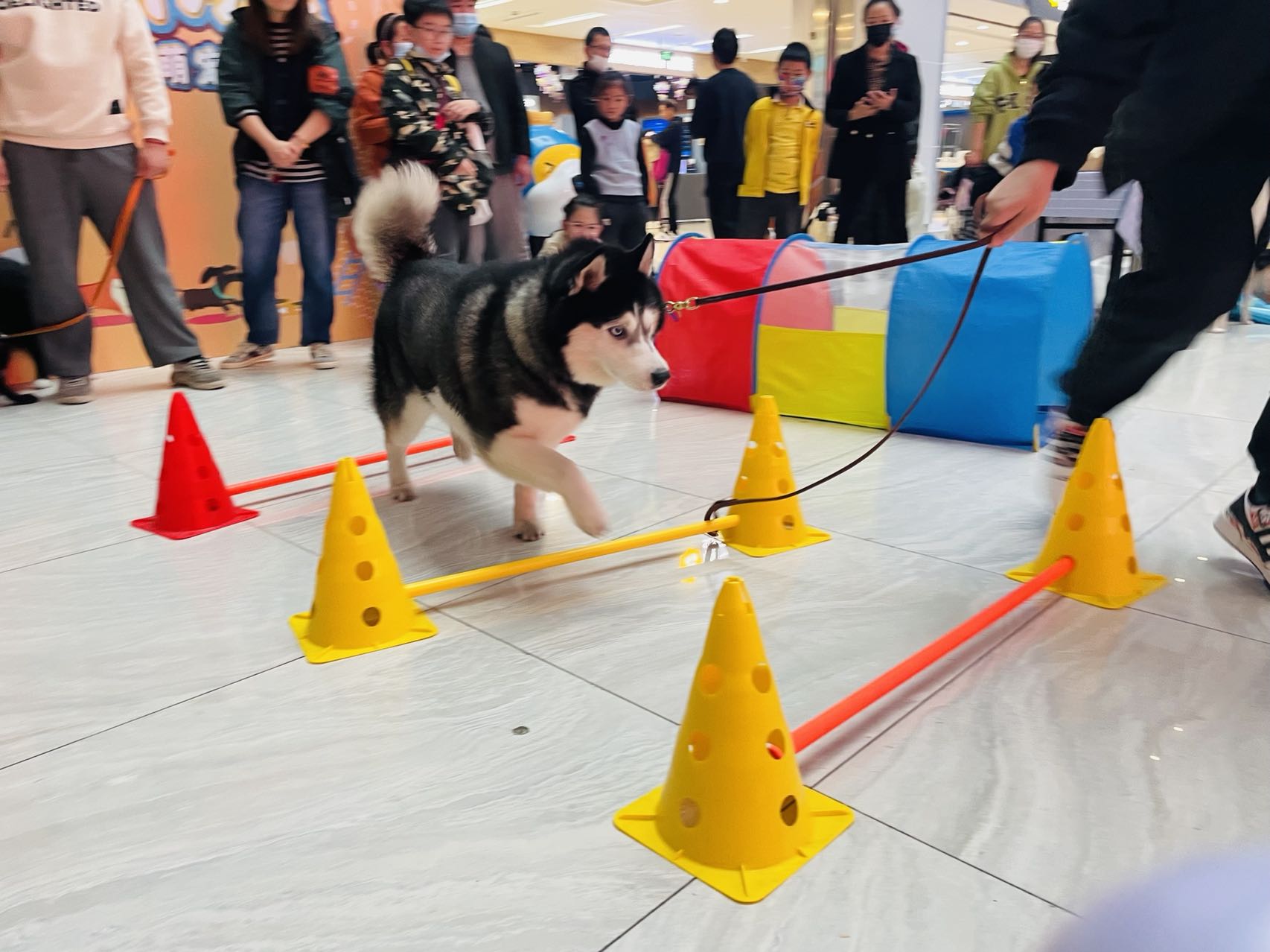 微信图片_20221124173151.jpg 微信图片_20221124173151.jpg